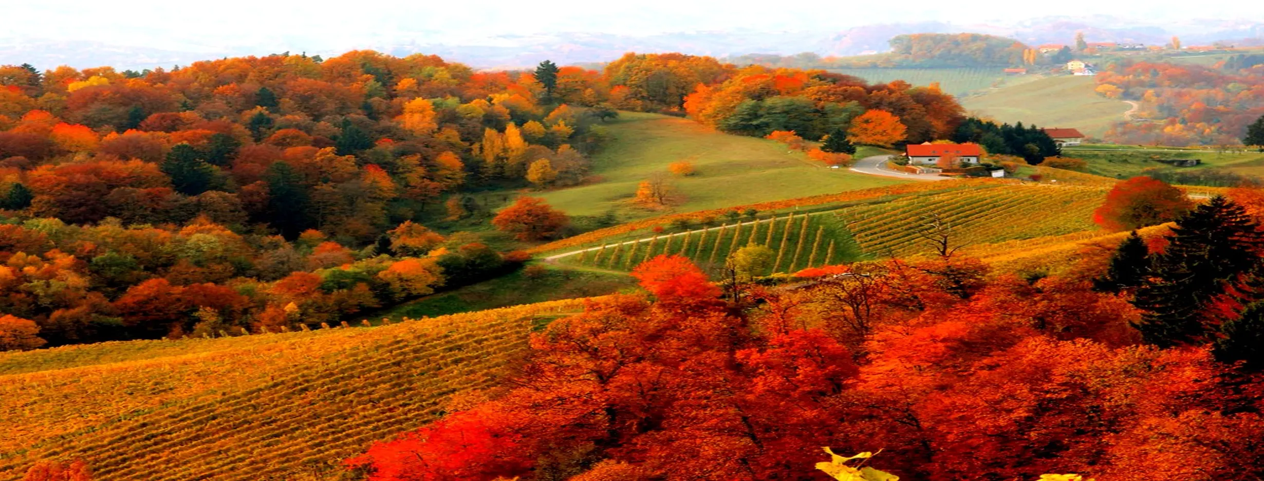 Image for Diverse Landscape